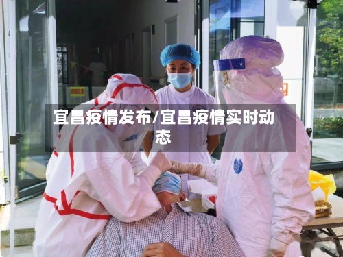 宜昌疫情发布/宜昌疫情实时动态-第2张图片