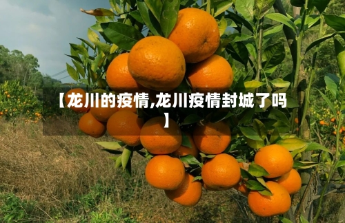 【龙川的疫情,龙川疫情封城了吗】