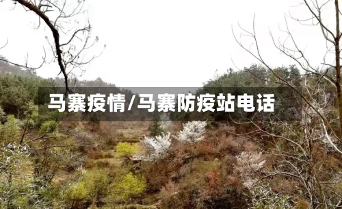 马寨疫情/马寨防疫站电话-第2张图片