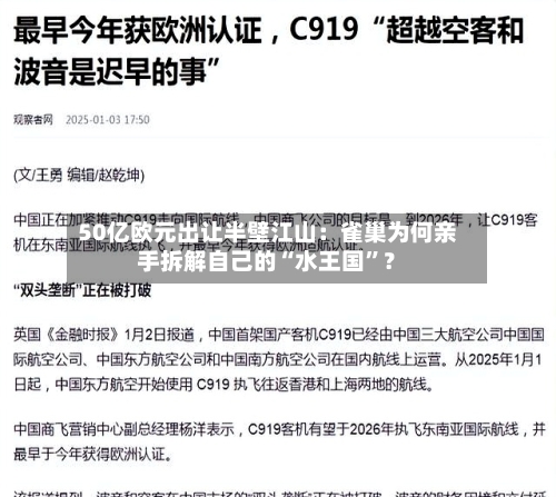 50亿欧元出让半壁江山：雀巢为何亲手拆解自己的“水王国”？-第3张图片