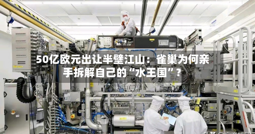 50亿欧元出让半壁江山：雀巢为何亲手拆解自己的“水王国”？-第2张图片