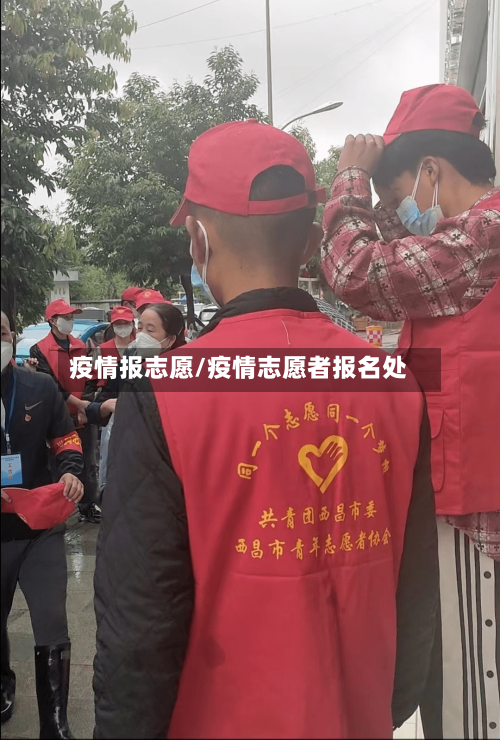 疫情报志愿/疫情志愿者报名处