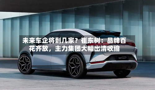 未来车企将剩几家？崔东树：品牌百花齐放，主力集团大幅出清收缩-第3张图片