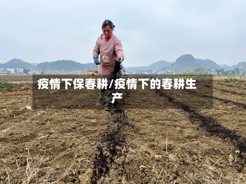 疫情下保春耕/疫情下的春耕生产