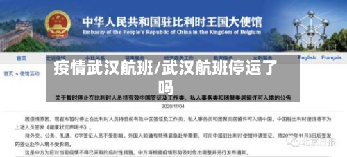 疫情武汉航班/武汉航班停运了吗
