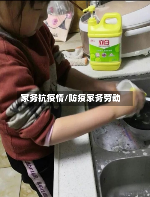 家务抗疫情/防疫家务劳动