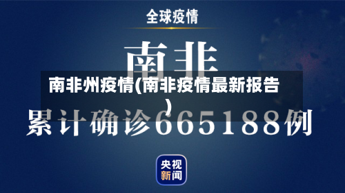 南非州疫情(南非疫情最新报告)