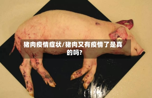 猪肉疫情症状/猪肉又有疫情了是真的吗?-第2张图片