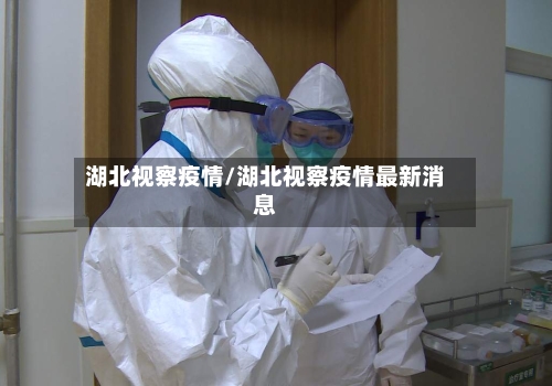 湖北视察疫情/湖北视察疫情最新消息