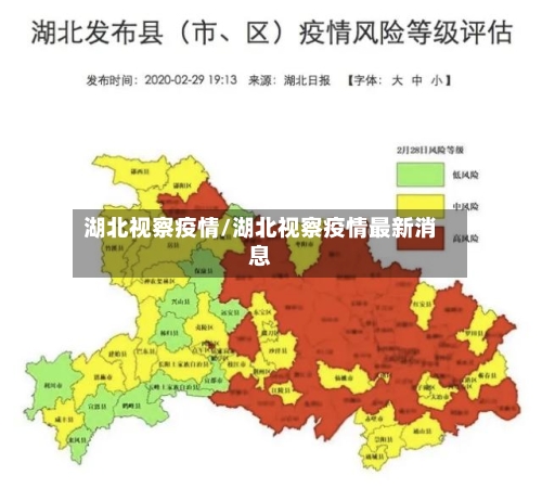湖北视察疫情/湖北视察疫情最新消息-第3张图片
