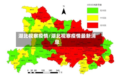 湖北视察疫情/湖北视察疫情最新消息-第2张图片