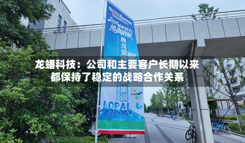 龙蟠科技：公司和主要客户长期以来都保持了稳定的战略合作关系