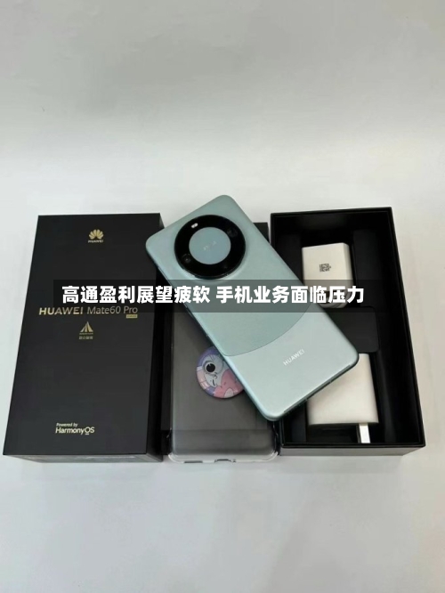 高通盈利展望疲软 手机业务面临压力