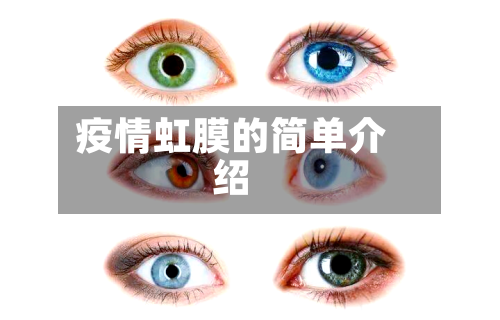 疫情虹膜的简单介绍