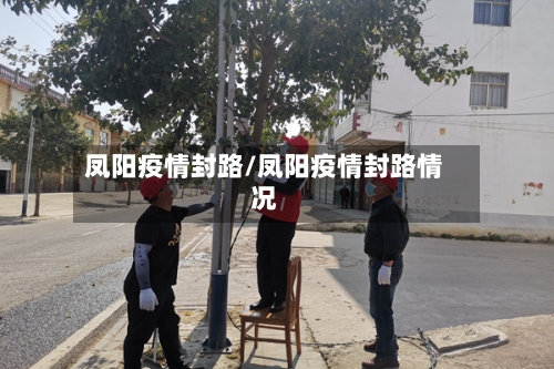 凤阳疫情封路/凤阳疫情封路情况