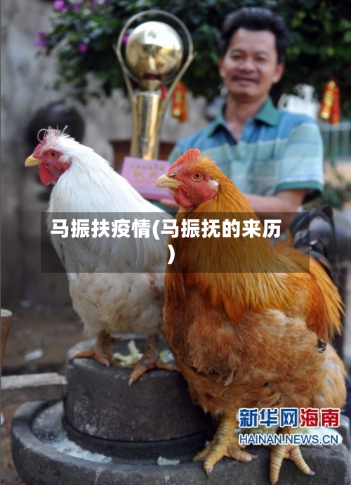 马振扶疫情(马振抚的来历)