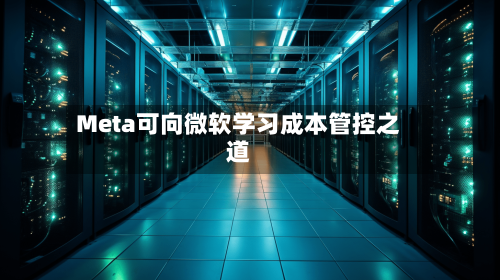 Meta可向微软学习成本管控之道-第2张图片