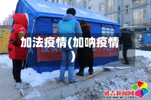 加法疫情(加呐疫情)