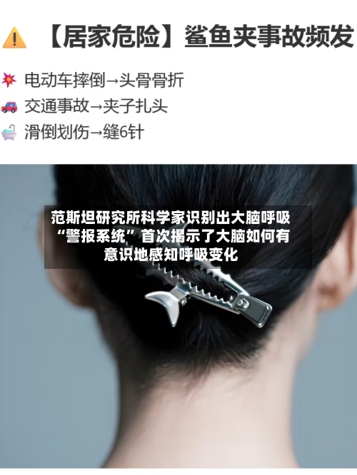 范斯坦研究所科学家识别出大脑呼吸“警报系统” 首次揭示了大脑如何有意识地感知呼吸变化-第2张图片