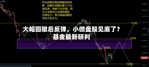 大幅回撤后反弹，小微盘股见底了？基金最新研判