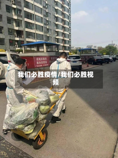 我们必胜疫情/我们必胜视频