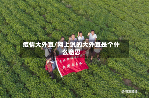 疫情大外宣/网上说的大外宣是个什么意思-第3张图片