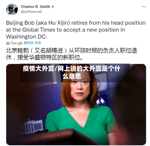 疫情大外宣/网上说的大外宣是个什么意思