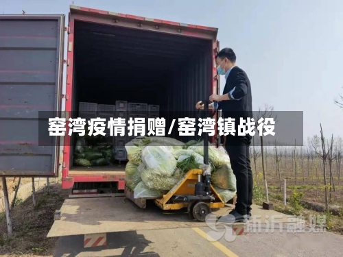 窑湾疫情捐赠/窑湾镇战役-第3张图片