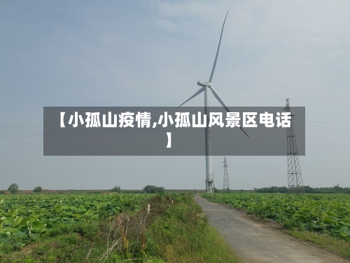【小孤山疫情,小孤山风景区电话】-第2张图片