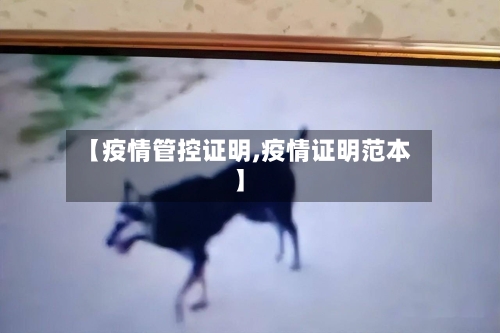 【疫情管控证明,疫情证明范本】-第3张图片