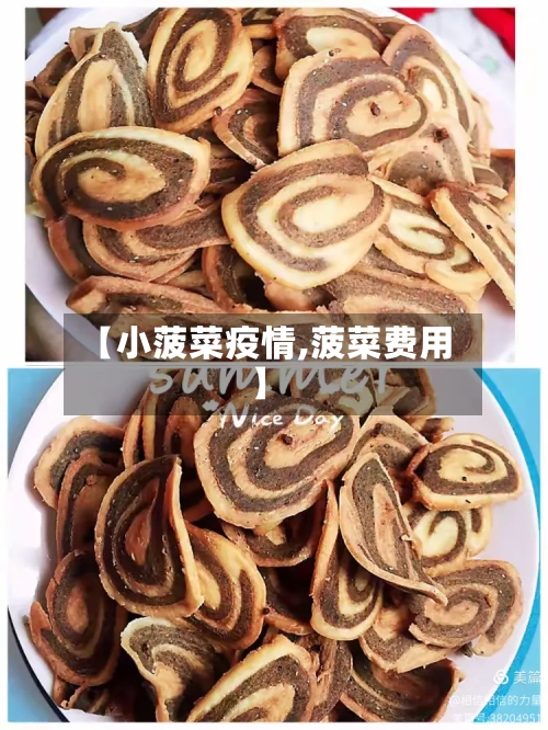 【小菠菜疫情,菠菜费用】