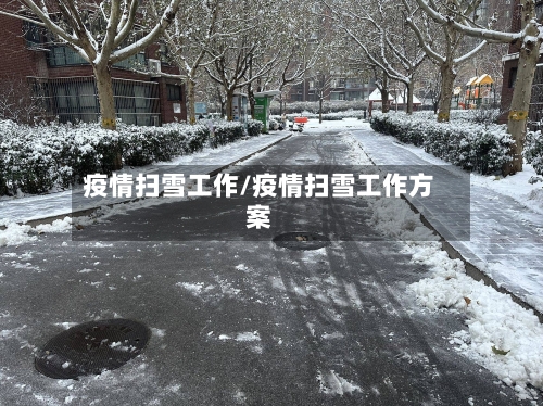疫情扫雪工作/疫情扫雪工作方案