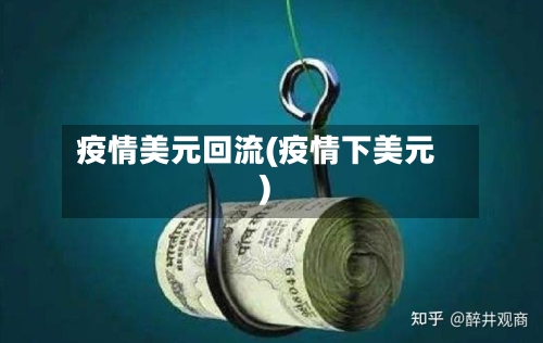 疫情美元回流(疫情下美元)