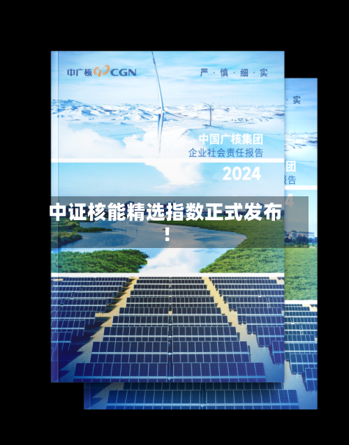 中证核能精选指数正式发布！-第2张图片