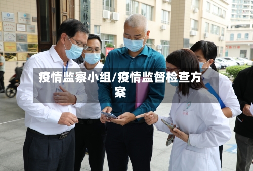 疫情监察小组/疫情监督检查方案