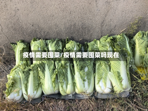 疫情需要囤菜/疫情需要囤菜吗现在