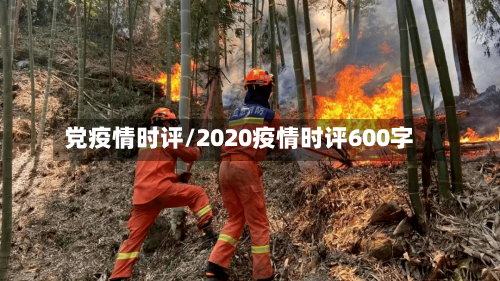 党疫情时评/2020疫情时评600字-第2张图片