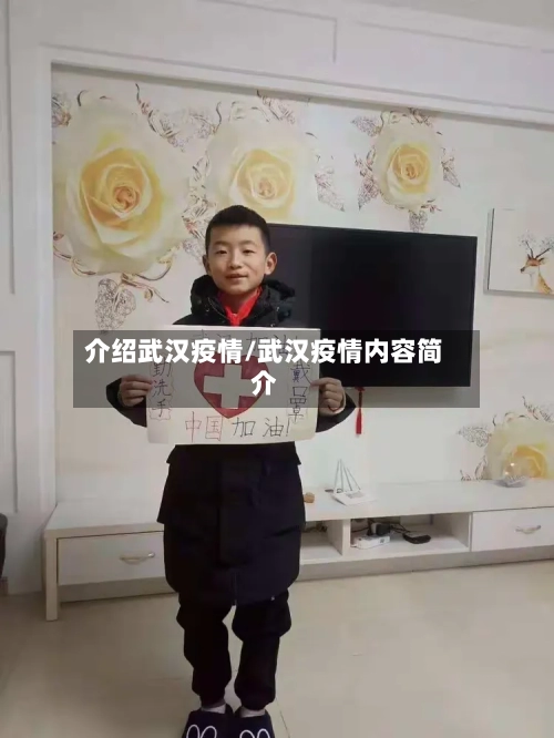 介绍武汉疫情/武汉疫情内容简介-第2张图片