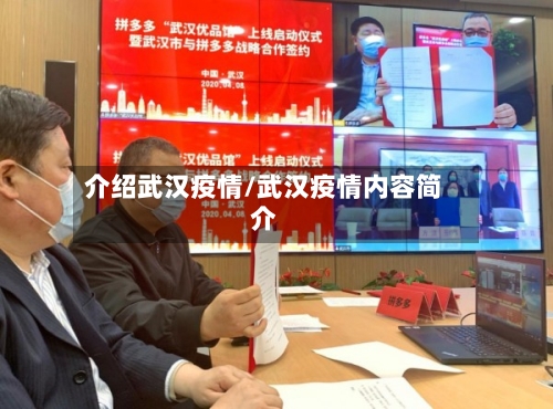 介绍武汉疫情/武汉疫情内容简介