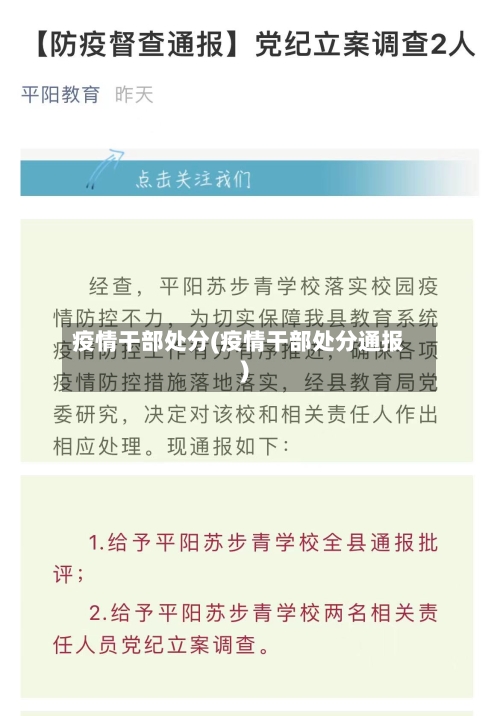 疫情干部处分(疫情干部处分通报)-第3张图片