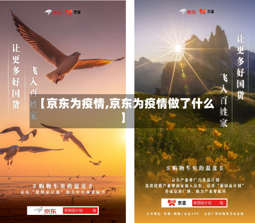 【京东为疫情,京东为疫情做了什么】