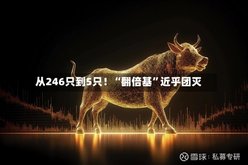 从246只到5只！“翻倍基”近乎团灭-第2张图片