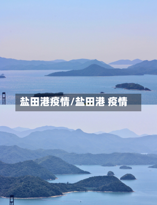 盐田港疫情/盐田港 疫情-第2张图片