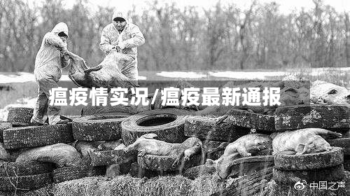 瘟疫情实况/瘟疫最新通报-第2张图片