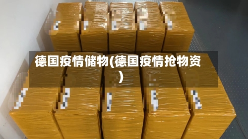 德国疫情储物(德国疫情抢物资)-第2张图片