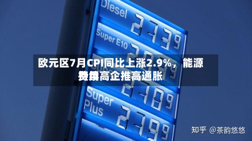 欧元区7月CPI同比上涨2.9%，能源费用持续高企推高通胀-第2张图片