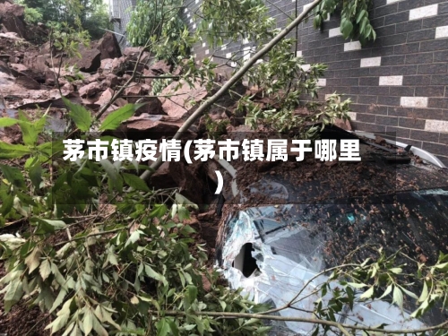 茅市镇疫情(茅市镇属于哪里)