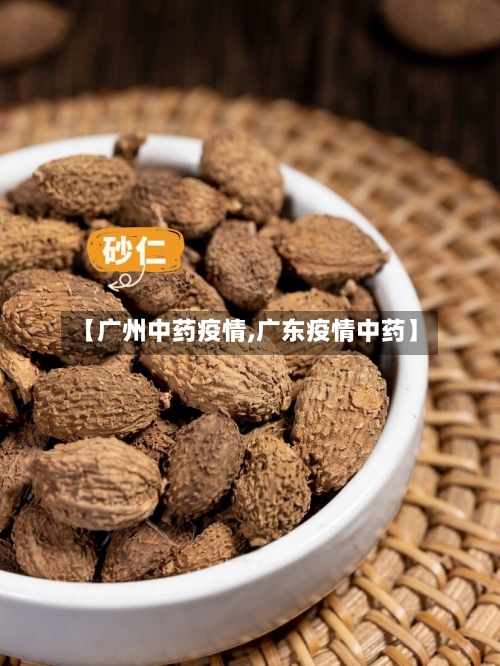 【广州中药疫情,广东疫情中药】