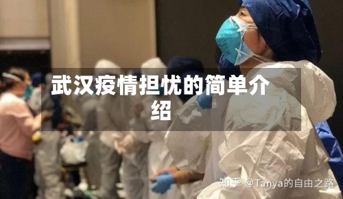 武汉疫情担忧的简单介绍-第2张图片