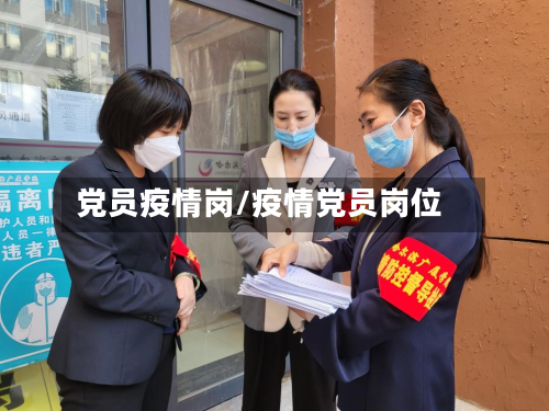 党员疫情岗/疫情党员岗位